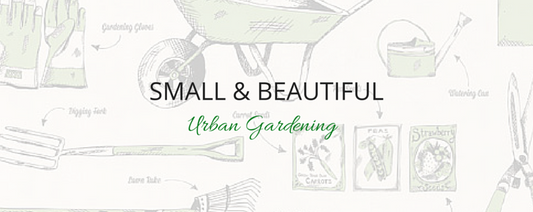 Small and Beautiful Urban Gardening