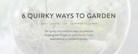 6 Quirky Gardening Methods